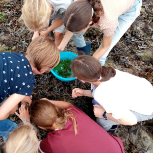 WhatsApp Image 2022-09-12 at 15.28.13